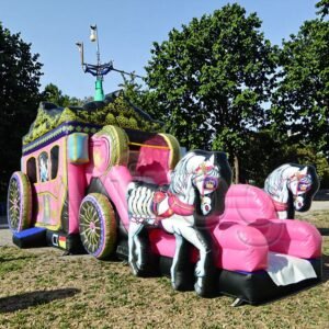 Commercial Inflatable Pink Princess Bouncy Castle (ALWC-77)